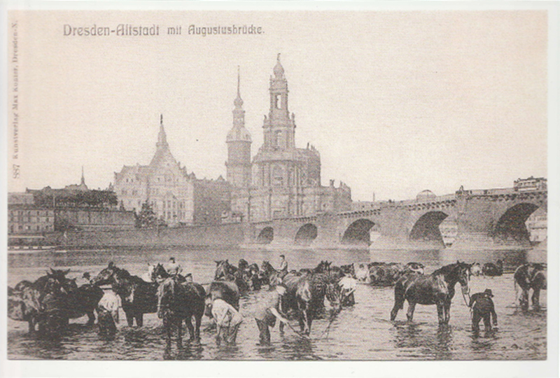 Pferdewäsche an der Augustusbrücke nach 1910